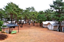 느랭이골 자연휴양림 일반야영장