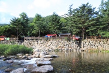 느티나무 캠핑장