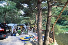 느티나무 캠핑장