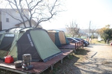 느티나무그늘아래 캠핑장