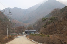늘푸른 관광농원