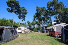 OK가족캠핑장 고캠핑