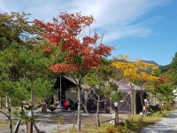 다옴 햇골 캠핑장