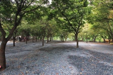 구름아래 캠핑장