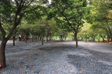 구름아래 캠핑장 고캠핑