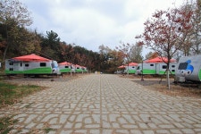 달서별빛캠프 캠핑장