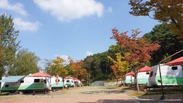 달서별빛캠프 캠핑장 고캠핑