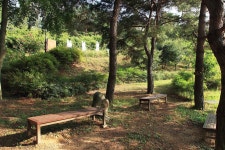 대가야농촌문화체험특구 캠핑장 고캠핑