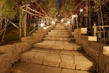 대숲글램핑장 고캠핑