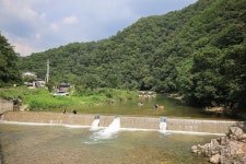마중펜션캠핑장 고캠핑