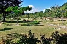 한국관광공사 고캠핑 고캠핑