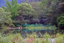 Foto aus Naver-Suchergebnissen 6