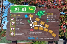 비토 국민여가캠핑장