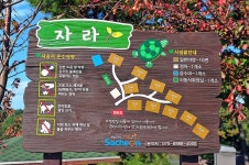 비토 국민여가캠핑장