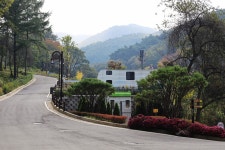 서운산 자연휴양림 자동차야영장