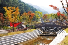 서운산 자연휴양림 자동차야영장