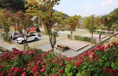 서운산 자연휴양림 자동차야영장 고캠핑