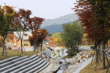 서운산 자연휴양림 자동차야영장