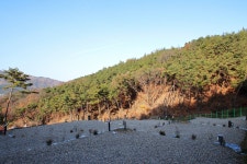 송하루 오토캠핑장