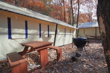 참나무숲 오토캠핑장 고캠핑