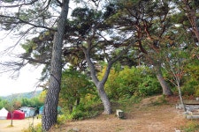 달곡캠프