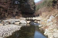 (주)수동자연마을 힐링별밤수목원캠핑장