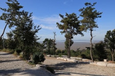 검디 관광농원 야영장 고캠핑