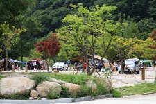 달궁자동차야영장 고캠핑