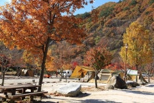 달궁자동차야영장 고캠핑