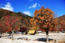 달궁자동차야영장 고캠핑