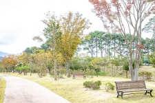 남원 백두대간 힐링캠핑장 고캠핑