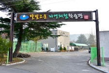 달빛고운 월성캠핑장 고캠핑