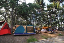 대천해수욕장 야영장