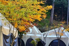 동물카라반펜션