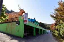 동물카라반 고캠핑