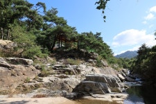 동산계곡 야영장