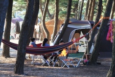 몽산포 자동차 야영장