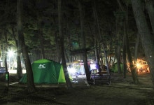 몽산포 자동차 야영장 고캠핑