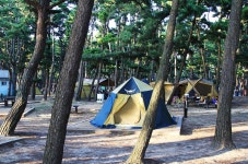 몽산포 자동차 야영장