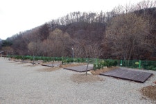 별밤펜션 캠핑장