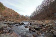 별밤펜션 캠핑장