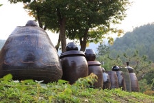 분지울작은캠프장 고캠핑