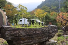 분지울작은캠프장 고캠핑