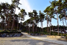 무창포솔원캠핑장