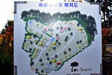 무창포솔원캠핑장 고캠핑