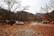 LAFORESTA(라포레스타)