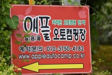 얼음골애플 오토캠핑장 고캠핑
