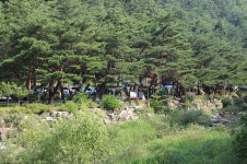 엄둔솔밭빌리지 고캠핑
