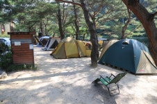 엄둔솔밭빌리지 고캠핑