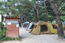 엄둔솔밭빌리지 고캠핑